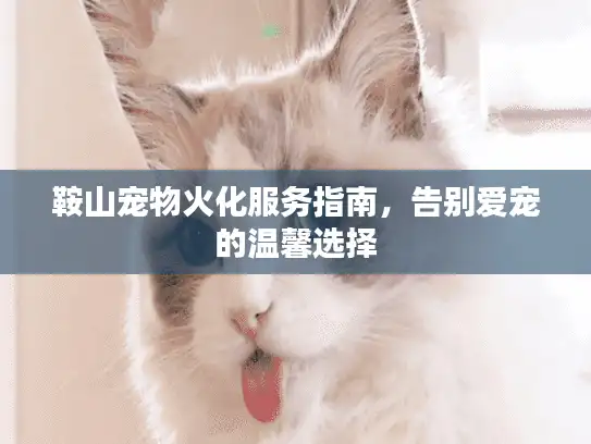 鞍山宠物火化服务指南，告别爱宠的温馨选择
