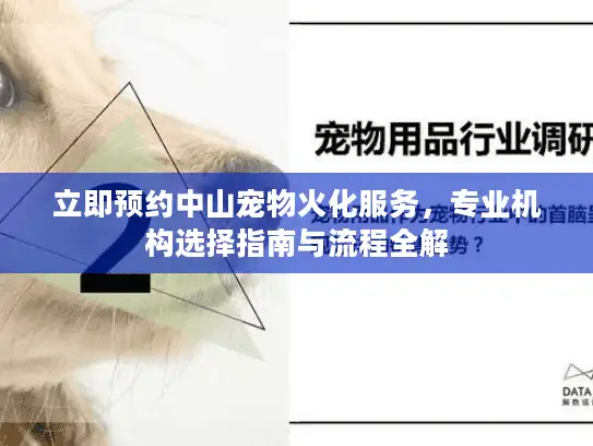 立即预约中山宠物火化服务，专业机构选择指南与流程全解