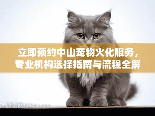 立即预约中山宠物火化服务，专业机构选择指南与流程全解