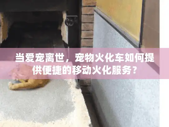 当爱宠离世，宠物火化车如何提供便捷的移动火化服务？