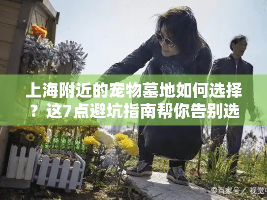 上海附近的宠物墓地如何选择？这7点避坑指南帮你告别选址焦虑