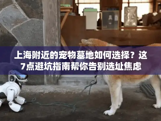 上海附近的宠物墓地如何选择？这7点避坑指南帮你告别选址焦虑