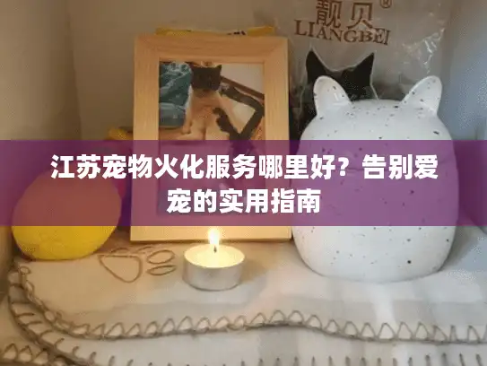 江苏宠物火化服务哪里好？告别爱宠的实用指南