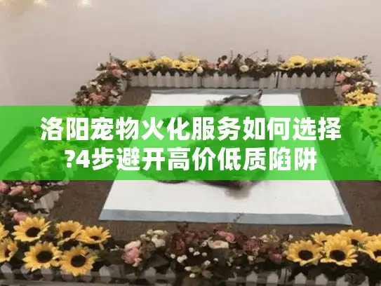 洛阳宠物火化服务如何选择?4步避开高价低质陷阱
