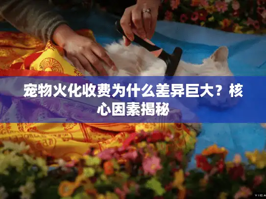 宠物火化收费为什么差异巨大？核心因素揭秘