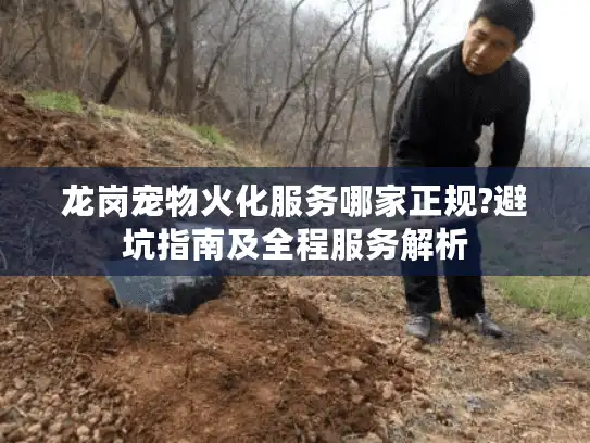 龙岗宠物火化服务哪家正规?避坑指南及全程服务解析