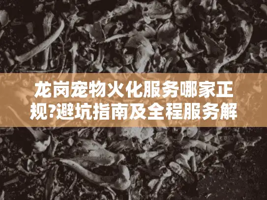 龙岗宠物火化服务哪家正规?避坑指南及全程服务解析