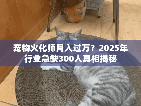 宠物火化师月入过万？2025年行业急缺300人真相揭秘