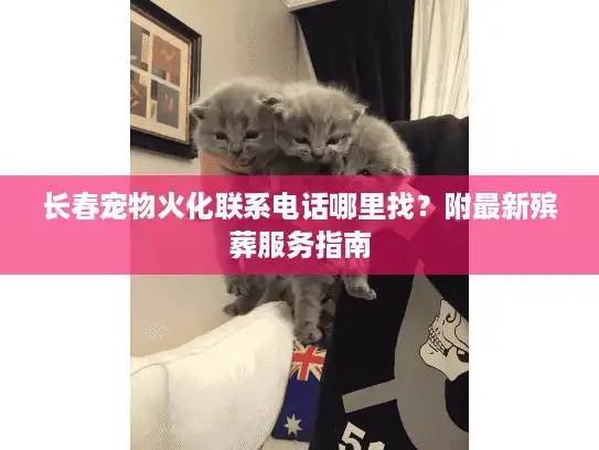 长春宠物火化联系电话哪里找？附最新殡葬服务指南