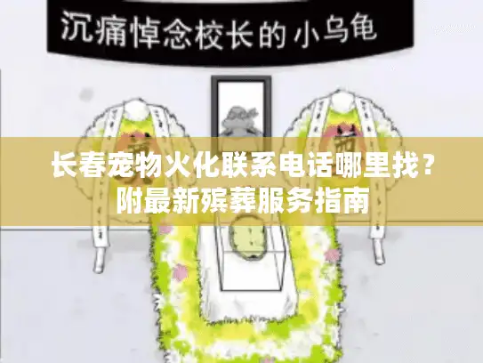 长春宠物火化联系电话哪里找？附最新殡葬服务指南