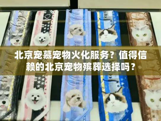 北京宠慕宠物火化服务？值得信赖的北京宠物殡葬选择吗？
