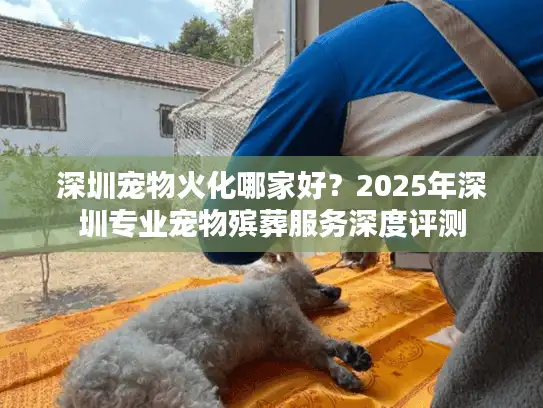 深圳宠物火化哪家好？2025年深圳专业宠物殡葬服务深度评测