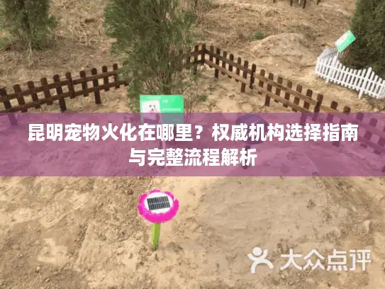 昆明宠物火化在哪里？权威机构选择指南与完整流程解析