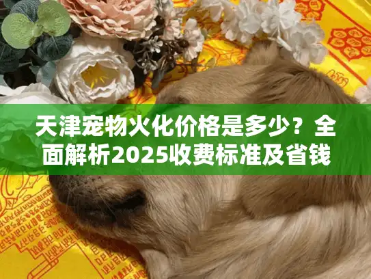 天津宠物火化价格是多少？全面解析2025收费标准及省钱建议