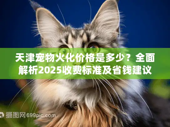 天津宠物火化价格是多少？全面解析2025收费标准及省钱建议