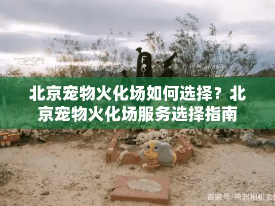 北京宠物火化场如何选择？北京宠物火化场服务选择指南