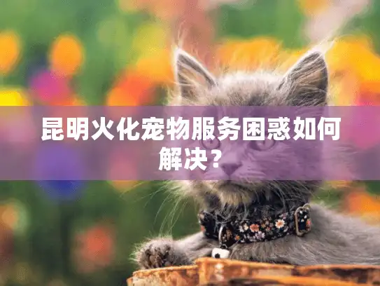 昆明火化宠物服务困惑如何解决？