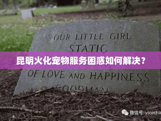昆明火化宠物服务困惑如何解决？