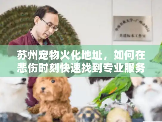 苏州宠物火化地址，如何在悲伤时刻快速找到专业服务？