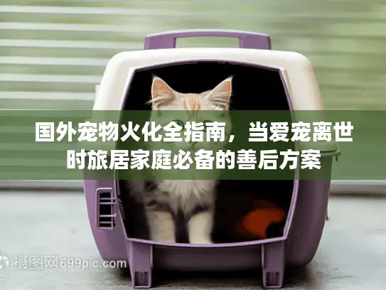 国外宠物火化全指南，当爱宠离世时旅居家庭必备的善后方案