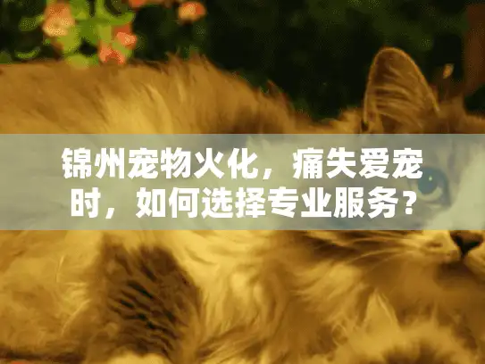 锦州宠物火化，痛失爱宠时，如何选择专业服务？