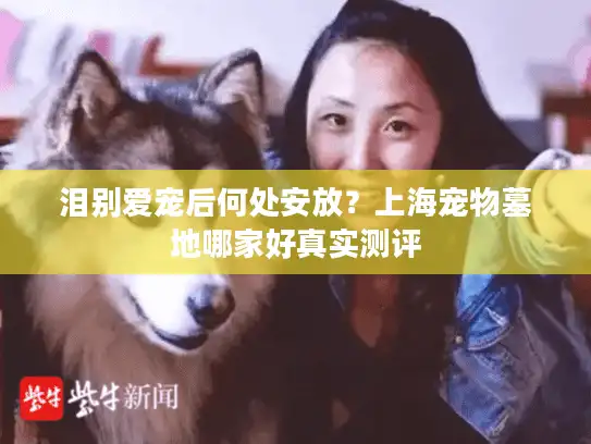泪别爱宠后何处安放？上海宠物墓地哪家好真实测评