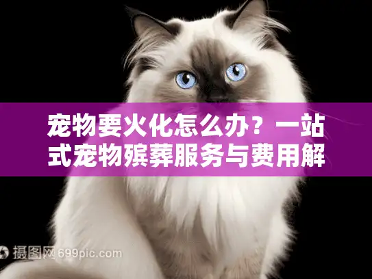 宠物要火化怎么办？一站式宠物殡葬服务与费用解析