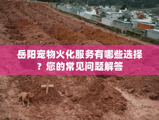 岳阳宠物火化服务有哪些选择？您的常见问题解答
