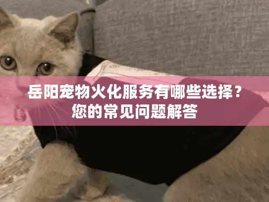 岳阳宠物火化服务有哪些选择？您的常见问题解答