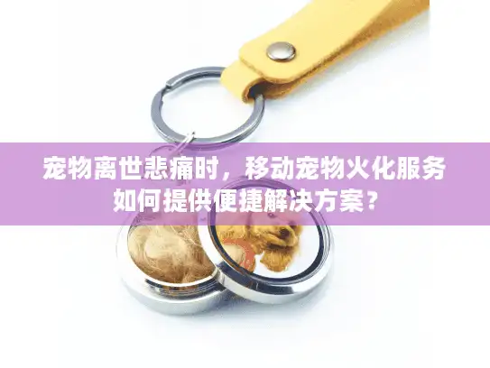 宠物离世悲痛时，移动宠物火化服务如何提供便捷解决方案？