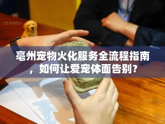 亳州宠物火化服务全流程指南，如何让爱宠体面告别？