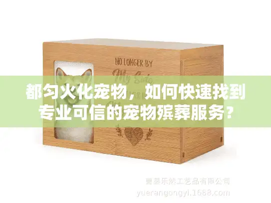 都匀火化宠物，如何快速找到专业可信的宠物殡葬服务？