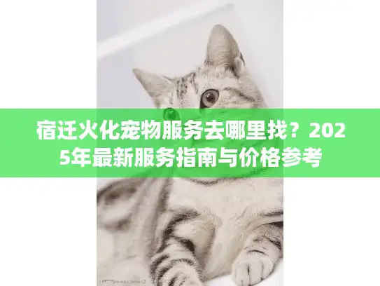 宿迁火化宠物服务去哪里找？2025年最新服务指南与价格参考