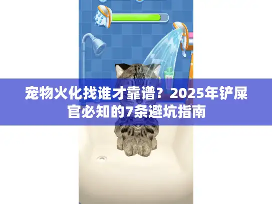 宠物火化找谁才靠谱？2025年铲屎官必知的7条避坑指南