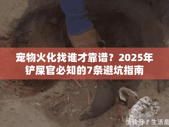 宠物火化找谁才靠谱？2025年铲屎官必知的7条避坑指南