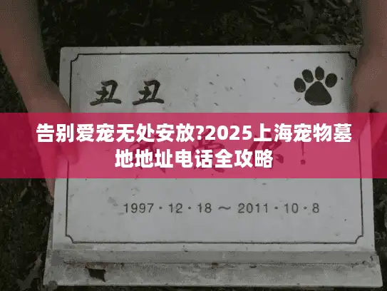 告别爱宠无处安放?2025上海宠物墓地地址电话全攻略