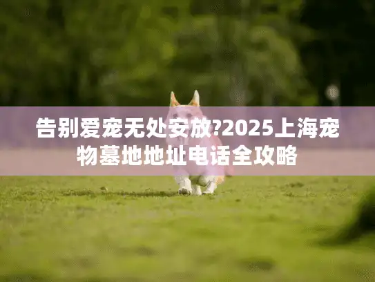 告别爱宠无处安放?2025上海宠物墓地地址电话全攻略