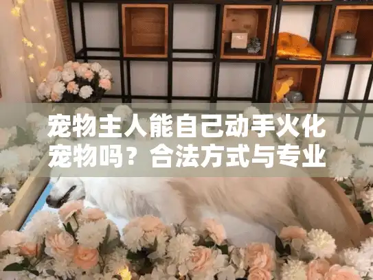 宠物主人能自己动手火化宠物吗？合法方式与专业机构推荐