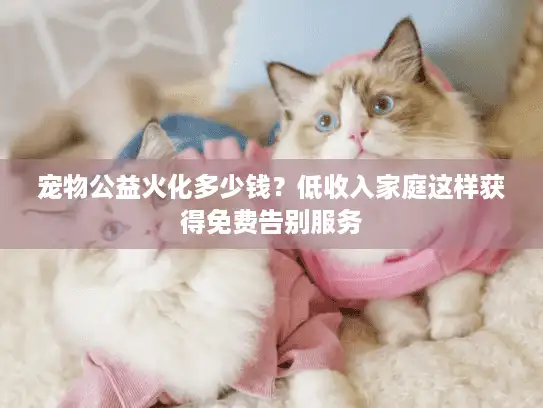 宠物公益火化多少钱？低收入家庭这样获得免费告别服务