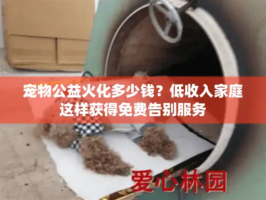 宠物公益火化多少钱？低收入家庭这样获得免费告别服务