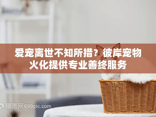 爱宠离世不知所措？彼岸宠物火化提供专业善终服务