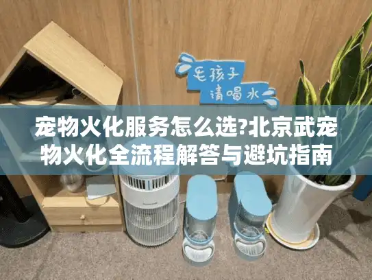 宠物火化服务怎么选?北京武宠物火化全流程解答与避坑指南