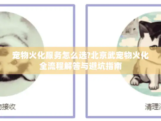 宠物火化服务怎么选?北京武宠物火化全流程解答与避坑指南