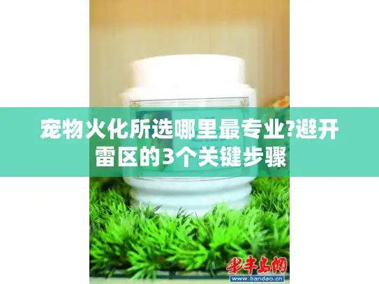 宠物火化所选哪里最专业?避开雷区的3个关键步骤