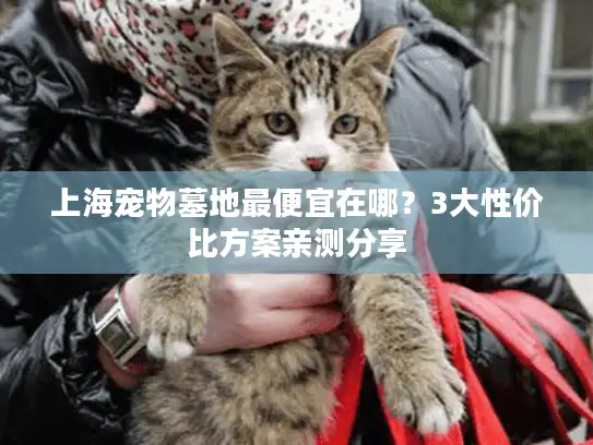 上海宠物墓地最便宜在哪？3大性价比方案亲测分享