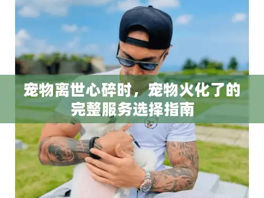 宠物离世心碎时，宠物火化了的完整服务选择指南