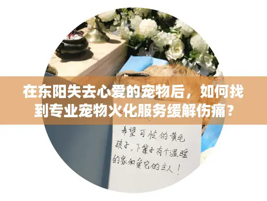 在东阳失去心爱的宠物后，如何找到专业宠物火化服务缓解伤痛？