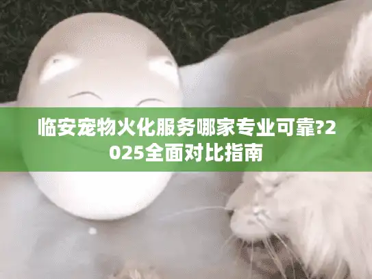 临安宠物火化服务哪家专业可靠?2025全面对比指南