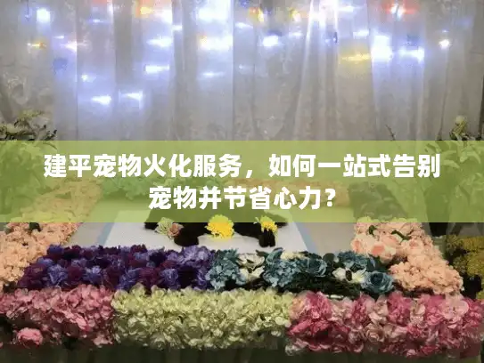建平宠物火化服务，如何一站式告别宠物并节省心力？