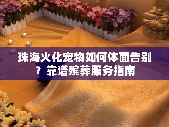 珠海火化宠物如何体面告别？靠谱殡葬服务指南